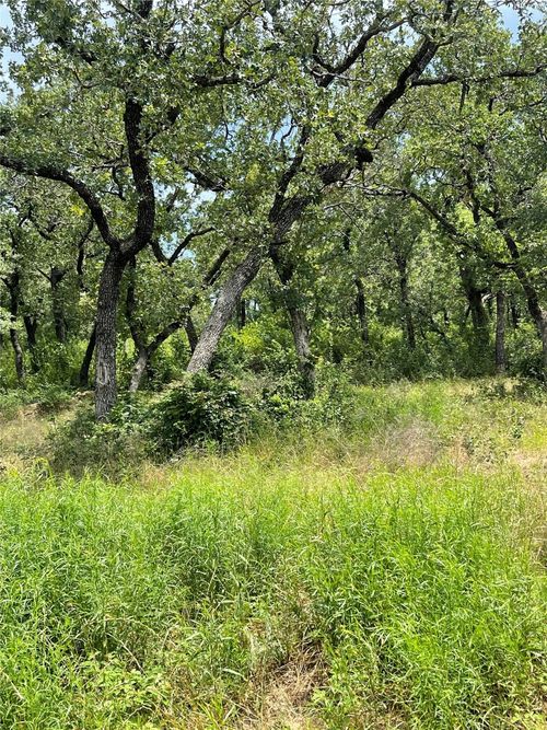 TBD Lake Rd, Bridgeport, TX, 76426 | Card Image