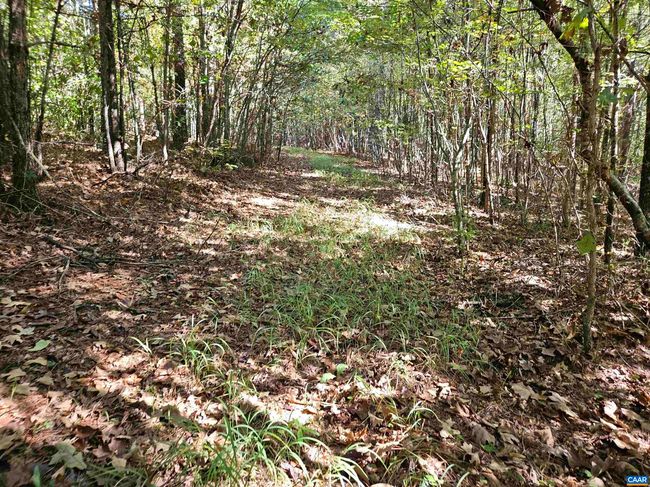 10239 Howardsville Rd, House other with 2 bedrooms, 1 bathrooms and null parking in HOWARDSVILLE VA | Image 35