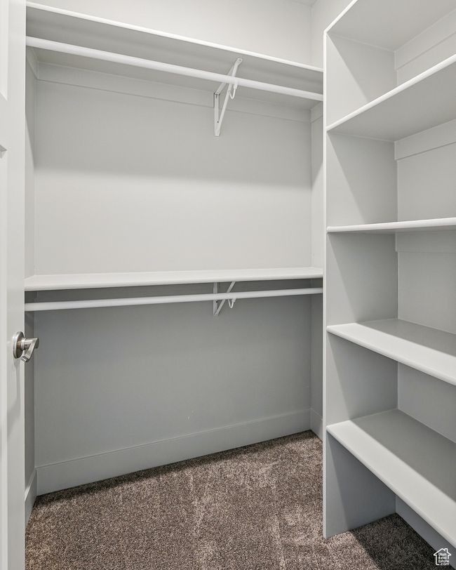 Spacious closet featuring carpet | Image 45