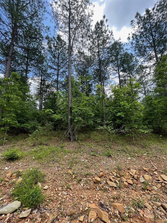 Land in Broken Bow 3