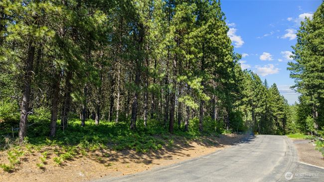 831 Iron Monarch Loop, Home with 0 bedrooms, 0 bathrooms and null parking in Cle Elum WA | Image 24