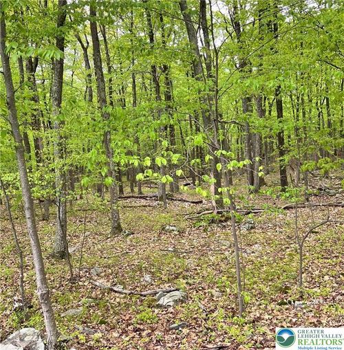 209 Cherry Ln, ALBRIGHTSVILLE, PA, 18210-7828 | Card Image