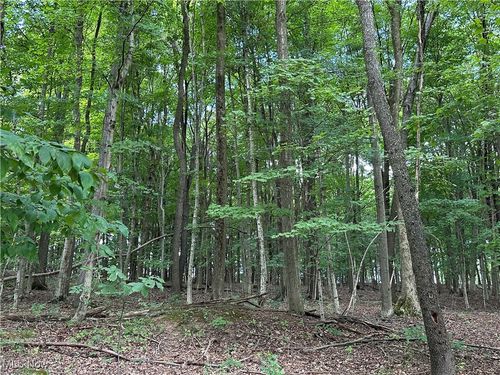 0 Township Road 2104, Loudonville, OH, 44842 | Card Image