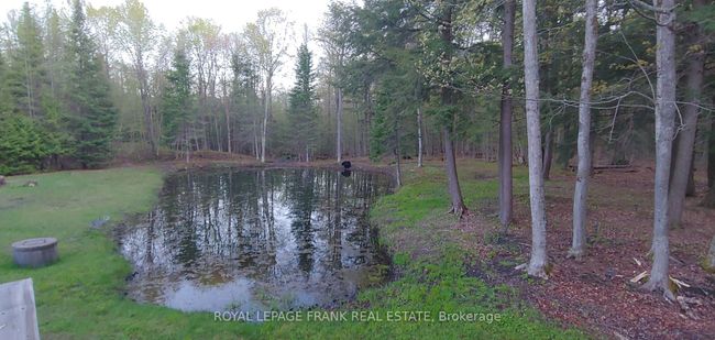3515 County Rd 121, House other with 5 bedrooms, 3 bathrooms and 8 parking in Kinmount ON | Image 29