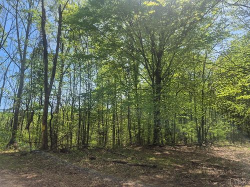 0 Greenfield Drive, Gladstone, VA, 24553 | Card Image