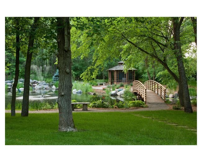 Frog Pond | Image 131