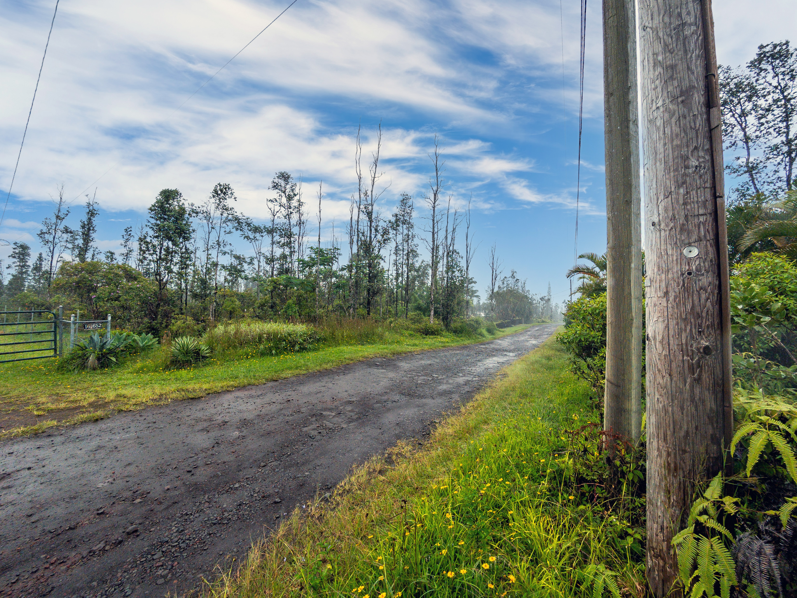 Land in Keaau 5