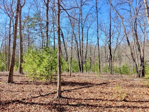 Lot 40 Lola Mae Way, Morganton, GA, 30560-1745 | Card Image