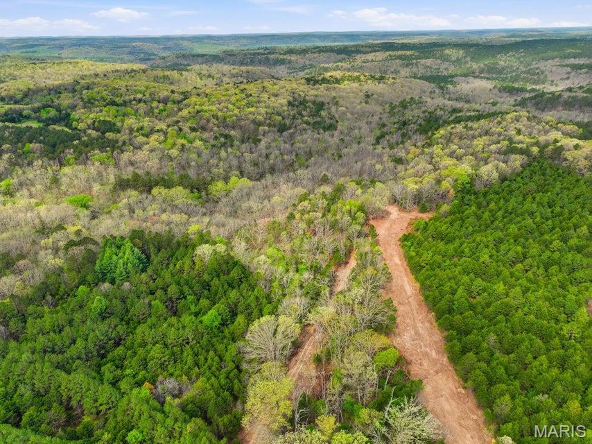 Land in Licking 4