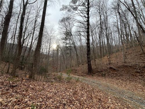 TBD Ginger Mountain Ln, Warrensville, NC, 28693 | Card Image