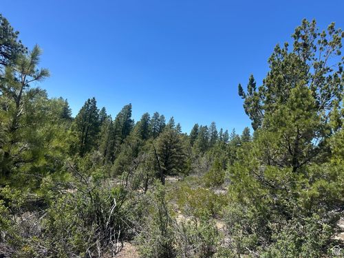 11-11 E Pine St, Orderville, UT, 84758 | Card Image