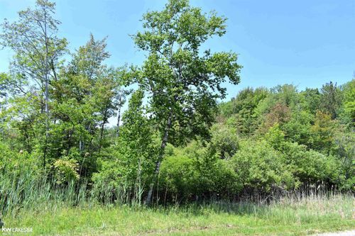 0 Oak Beach Rd, Port Austin, MI, 48467 | Card Image