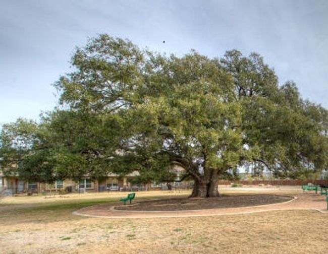 UNIT-1602 - 14001 Avery Ranch Blvd, Condo with 3 bedrooms, 3 bathrooms and 4 parking in Austin TX | Image 20