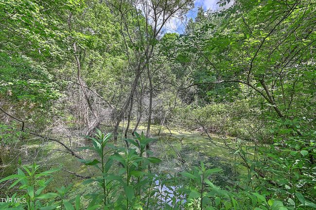 000 Goode Hollow Rd, Home with 0 bedrooms, 0 bathrooms and null parking in Duffield VA | Image 20
