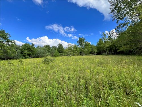 Lot 6 Greenbush Road, Erin, NY, 14838 | Card Image