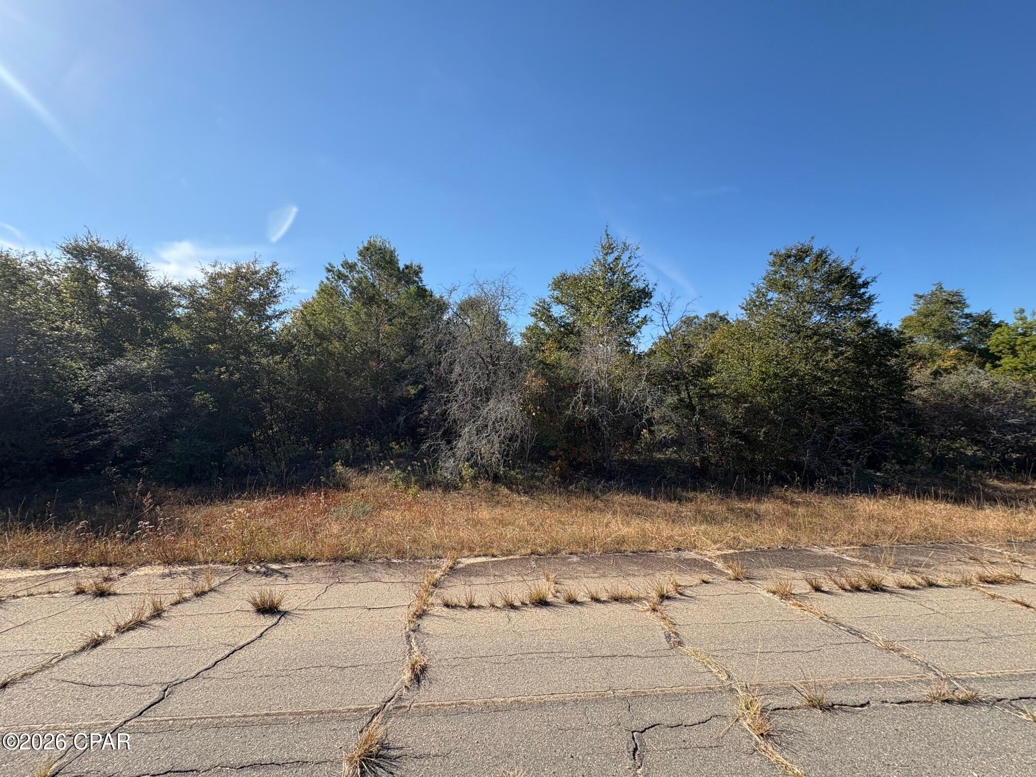 Land in Chipley