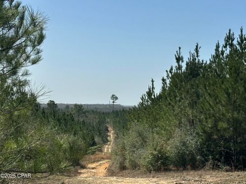 Tract#6416 S Douglas Ferry Road, Caryville, FL, 32427 | Card Image