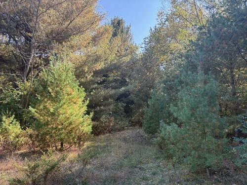 D S Glen Lake Rd, Glen Arbor, MI, 49636 | Card Image