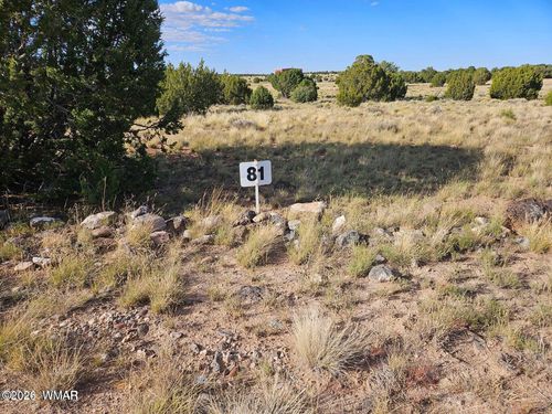 TBD Concho Dr, Concho, AZ, 85924 | Card Image