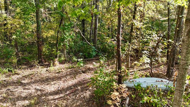 0 N Old State Road 25, Home with 0 bedrooms, 0 bathrooms and null parking in Delphi IN | Image 6