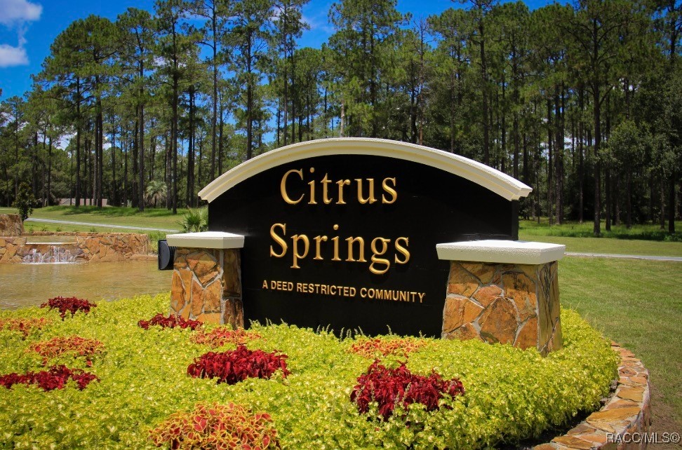 Land in Citrus Springs 3