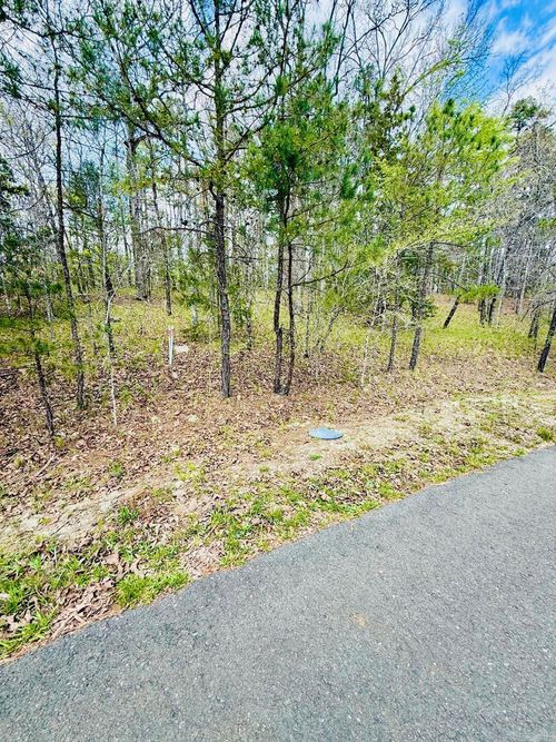 00 Halago Pl, Hot Springs Village, AR, 71909 | Card Image