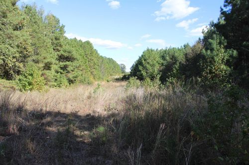 TBD Cr 1508 - 37.4 Acres, Jacksonville, TX, 75766 | Card Image