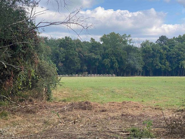 Lt 14 Southfork Hwy 27 North Highway, Home with 0 bedrooms, 0 bathrooms and null parking in Story AR | Image 4