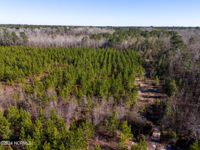 00 Sykes Town Rd, Home with 0 bedrooms, 0 bathrooms and null parking in Currie NC | Image 32