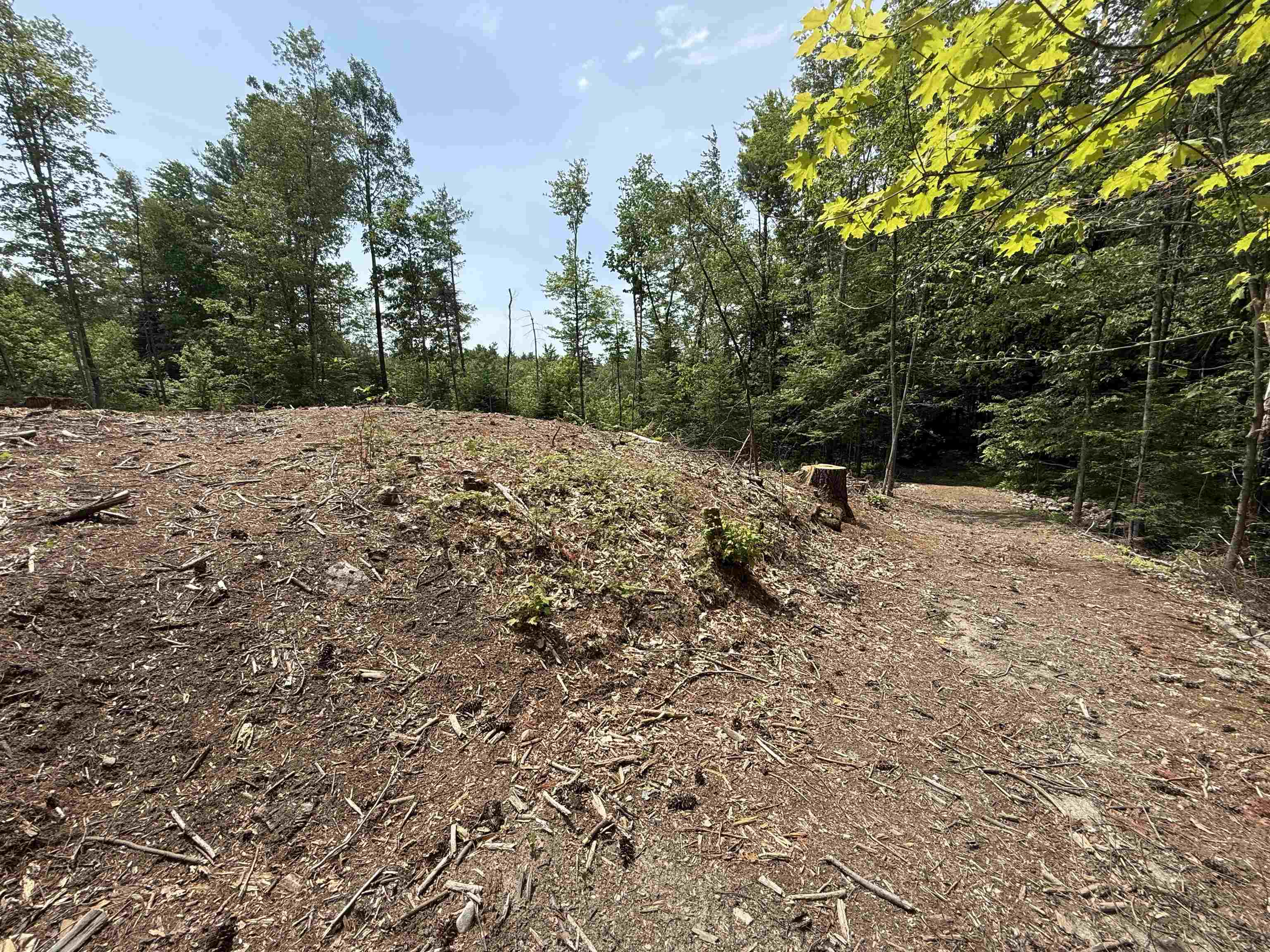 Land in Middleton 3