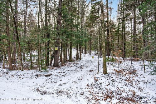 Tbd Roaring Kill Road, Elka Park, NY, 12427 | Card Image