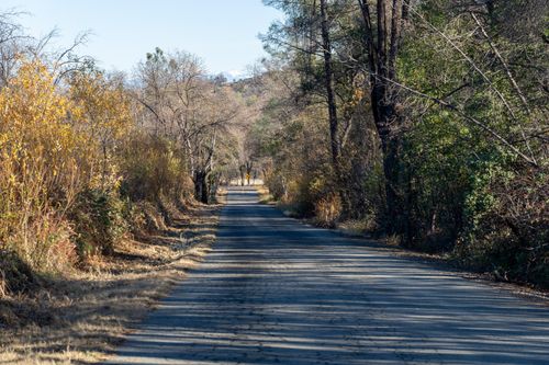 9977 Rainbow Lake Rd, Igo, CA, 96047-9720 | Card Image