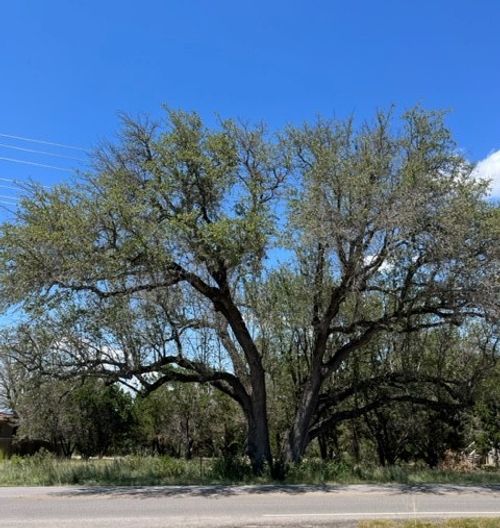 20703 High Dr, Lago Vista, TX, 78645-4695 | Card Image