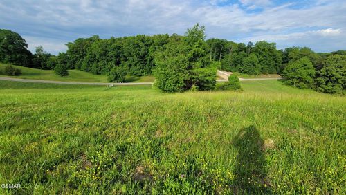 Lot 41 Shiloh Springs Rd, Rutledge, TN, 37861 | Card Image