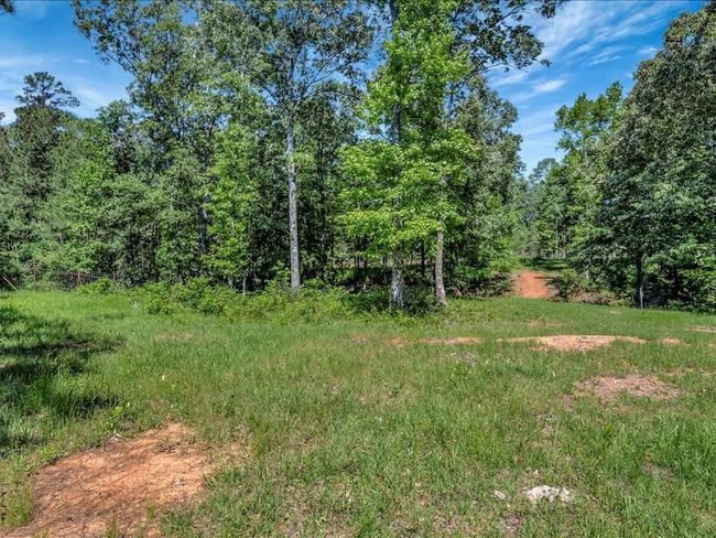 3103 Cheeseland Rd, Home with 0 bedrooms, 0 bathrooms and null parking in Pollok TX | Image 24
