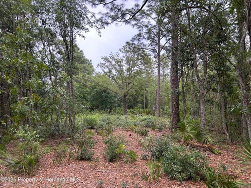 0 S Slash Pine Ave, Homosassa, FL, 34446 | Card Image