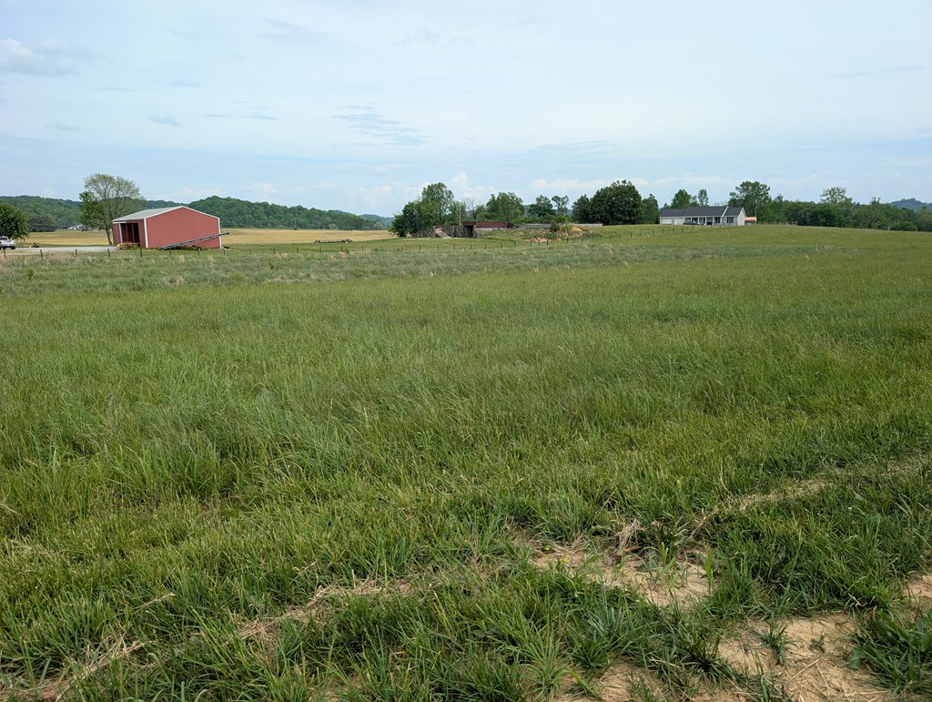 Land in Burkesville 2