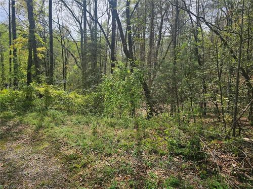00 Spring Dr, North Wilkesboro, NC, 28659 | Card Image