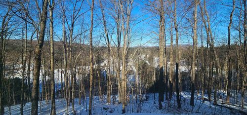 663 Sweet Rd, Pownal, VT, 05261-9578 | Card Image