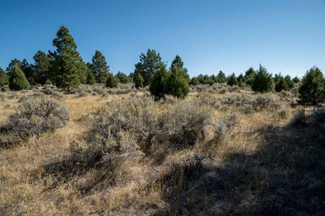Lot 4 Sunset Ridge Road, Home with 0 bedrooms, 0 bathrooms and null parking in Newcastle WY | Image 23