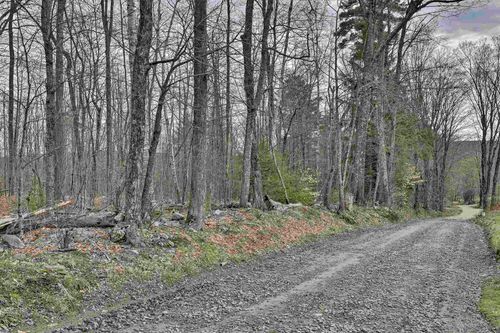 lot-24-1-4A, Lot 24-1 Joslin Rd, Surry, NH, 03431 | Card Image