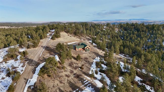 Bird's eye view with a forest view | Image 16