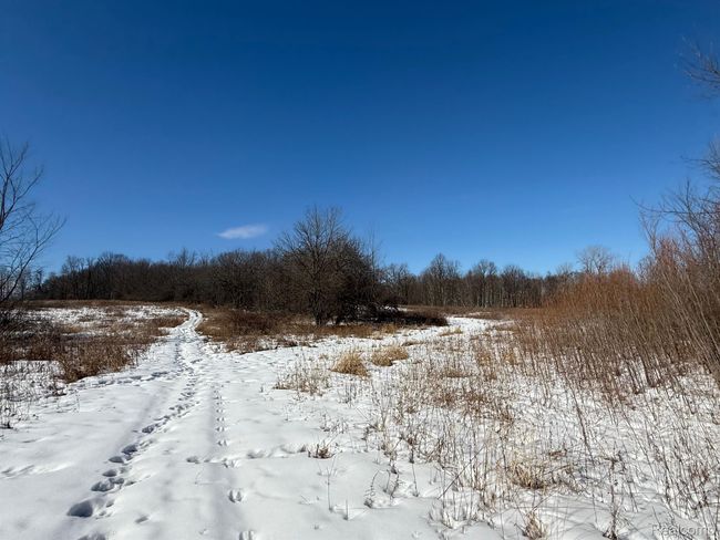 0 Dean Rd, Home with 0 bedrooms, 0 bathrooms and null parking in Brown City MI | Image 9
