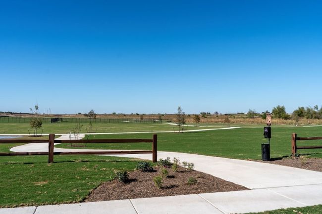 Community dog park | Image 14