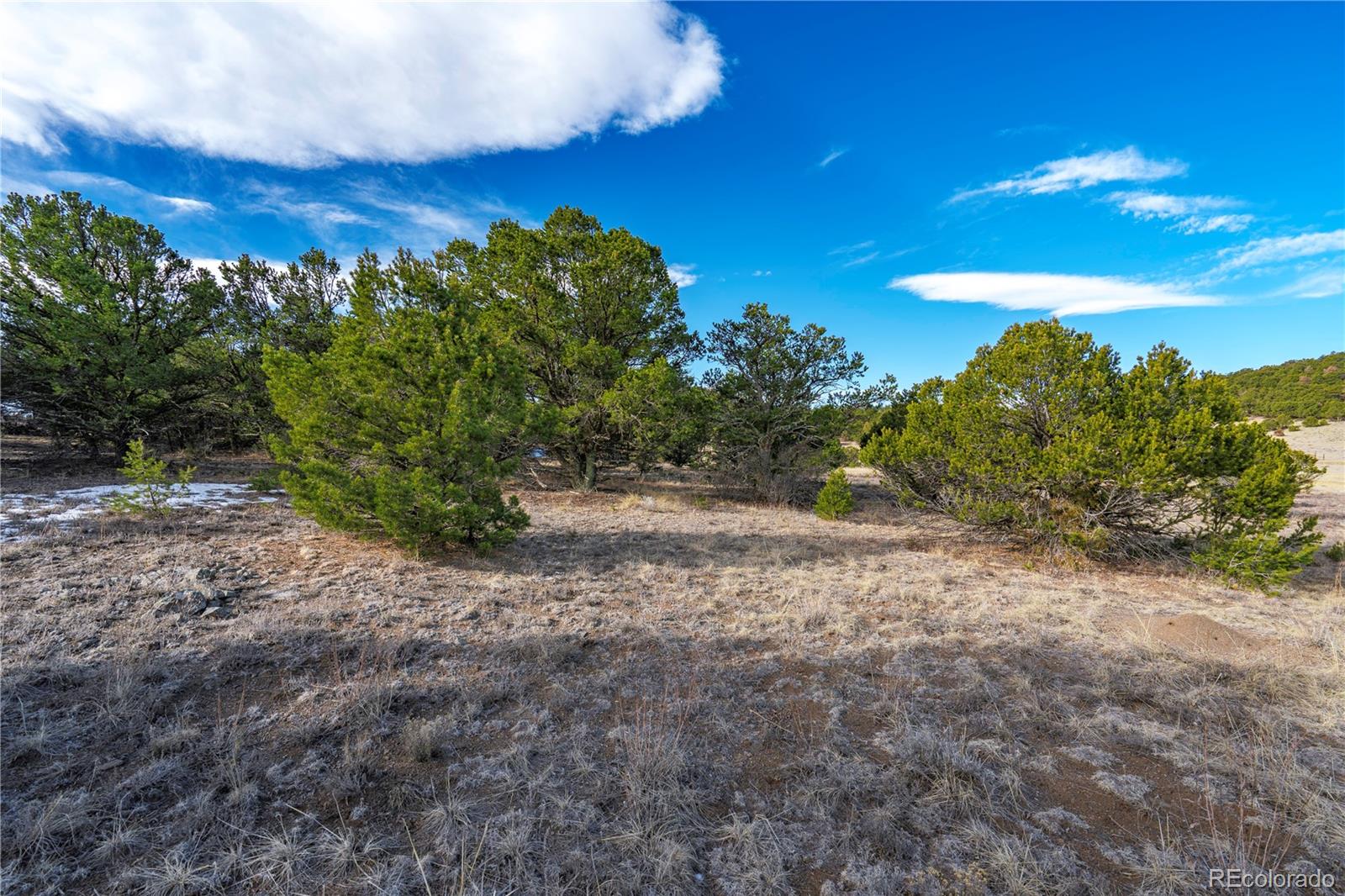 Land in Canon City 5