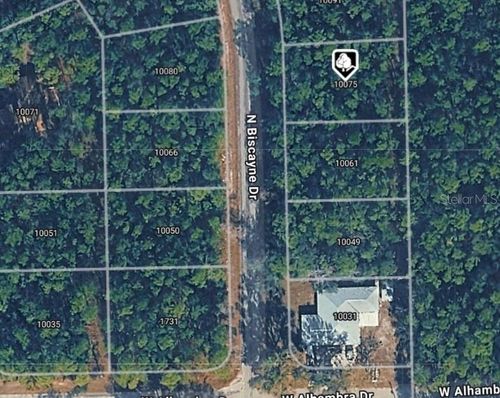 10075 N Biscayne Dr, CITRUS SPRINGS, FL, 34434-2808 | Card Image