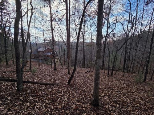 5 Fish Camp Way, Mineral Bluff, GA, 30559 | Card Image
