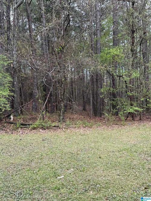 0-0 Bridge Creek Drive, Ragland, AL, 35131 | Card Image