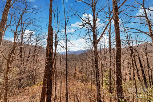 965 Wolf Pen Rd, Home with 0 bedrooms, 0 bathrooms and null parking in Old Fort NC | Image 5