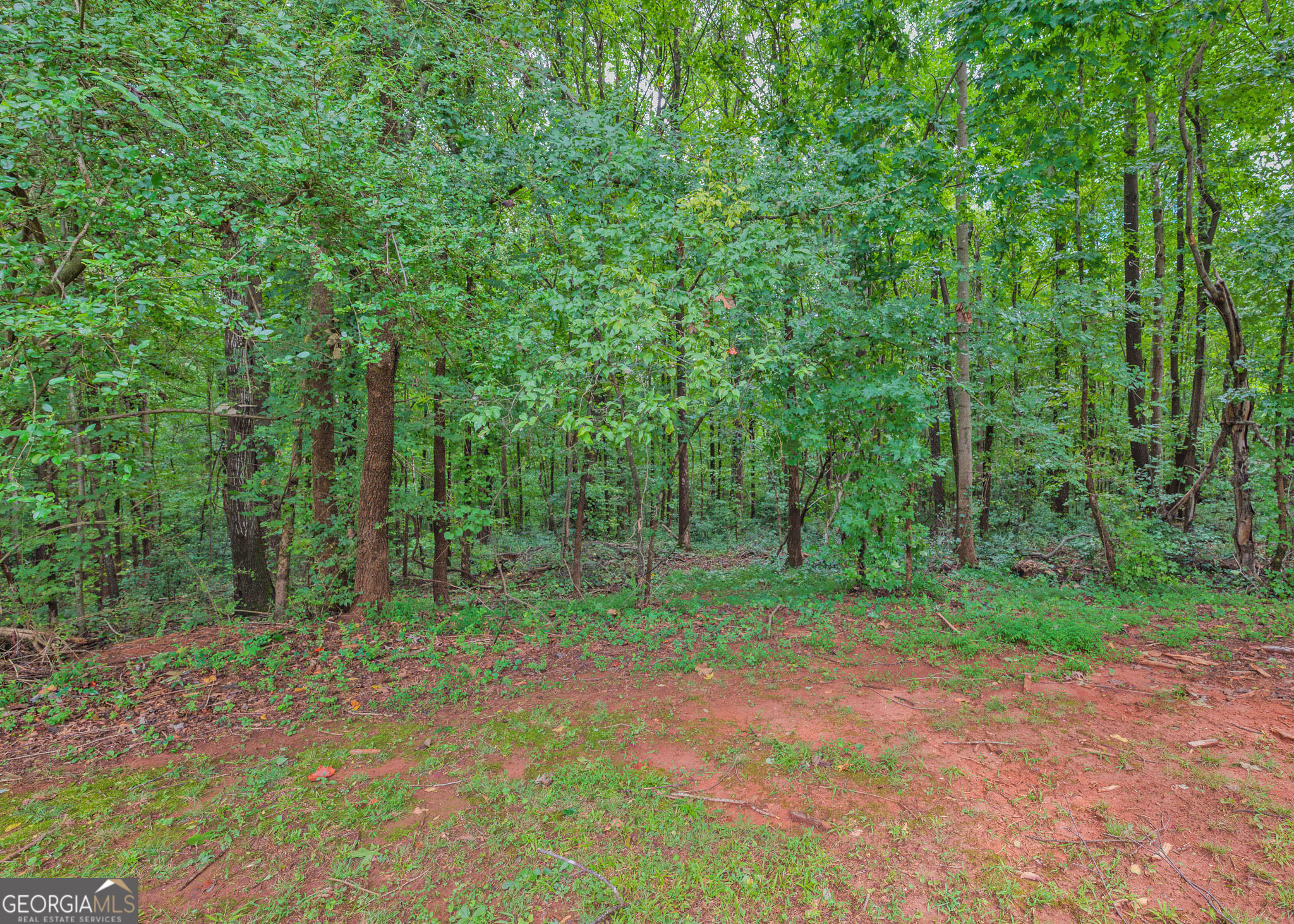 Residential in Mount Airy 4